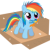 Thunder Dasher