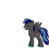 Righteous Pony