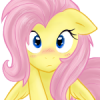 Rainbow_dash_Brony