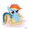 MysteryPony
