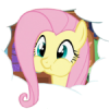 Fluttershutter