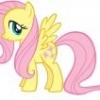 fluttershy01