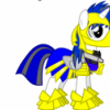 Rainboomer