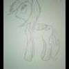 gracehoove