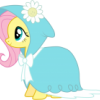FluTTerCuTe