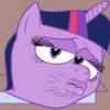 Ethan the Pony