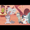 DiscordedRarity