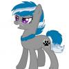 OneMillionPonies