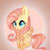 FlutterShy113