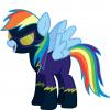 Rainbow Dash :...