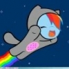 NoobyDash