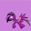 DuskWings