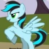 StormFastThePony