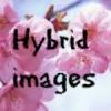 HybridImages